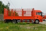 Cargo truck SITRAK - Image 4