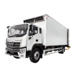 4m Chick Delivery Truck FOTON