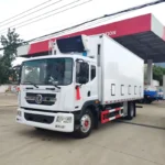 6.8m Chick Transport Truck DongFeng - Image 2